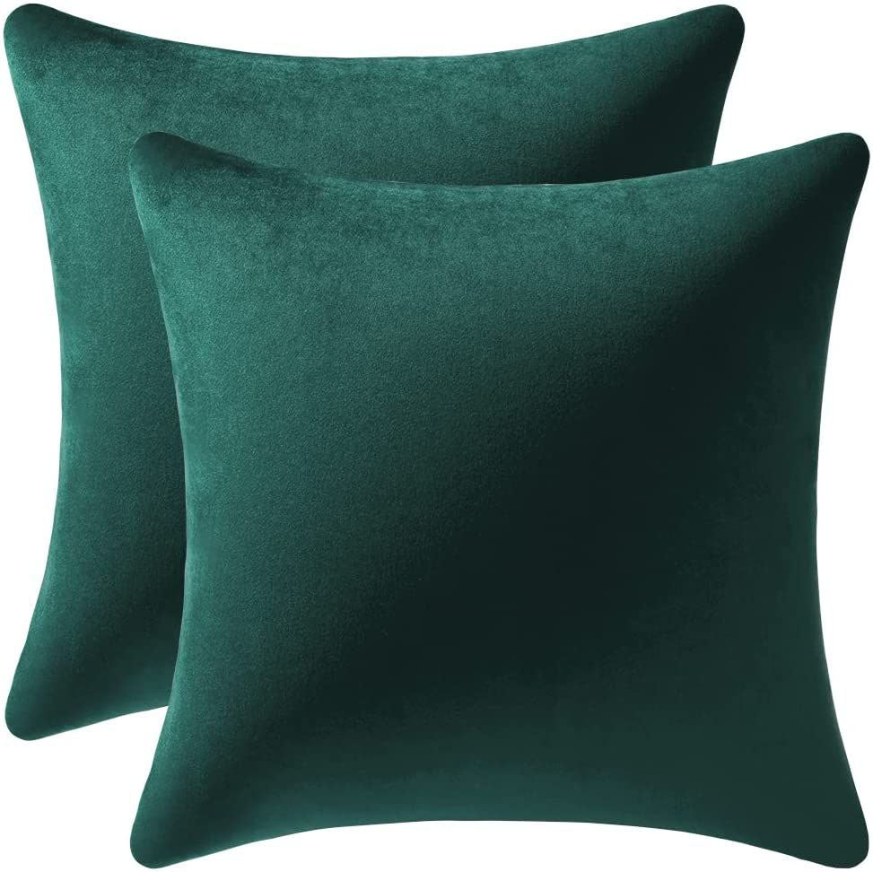 Just Home Velvet Pillow Set