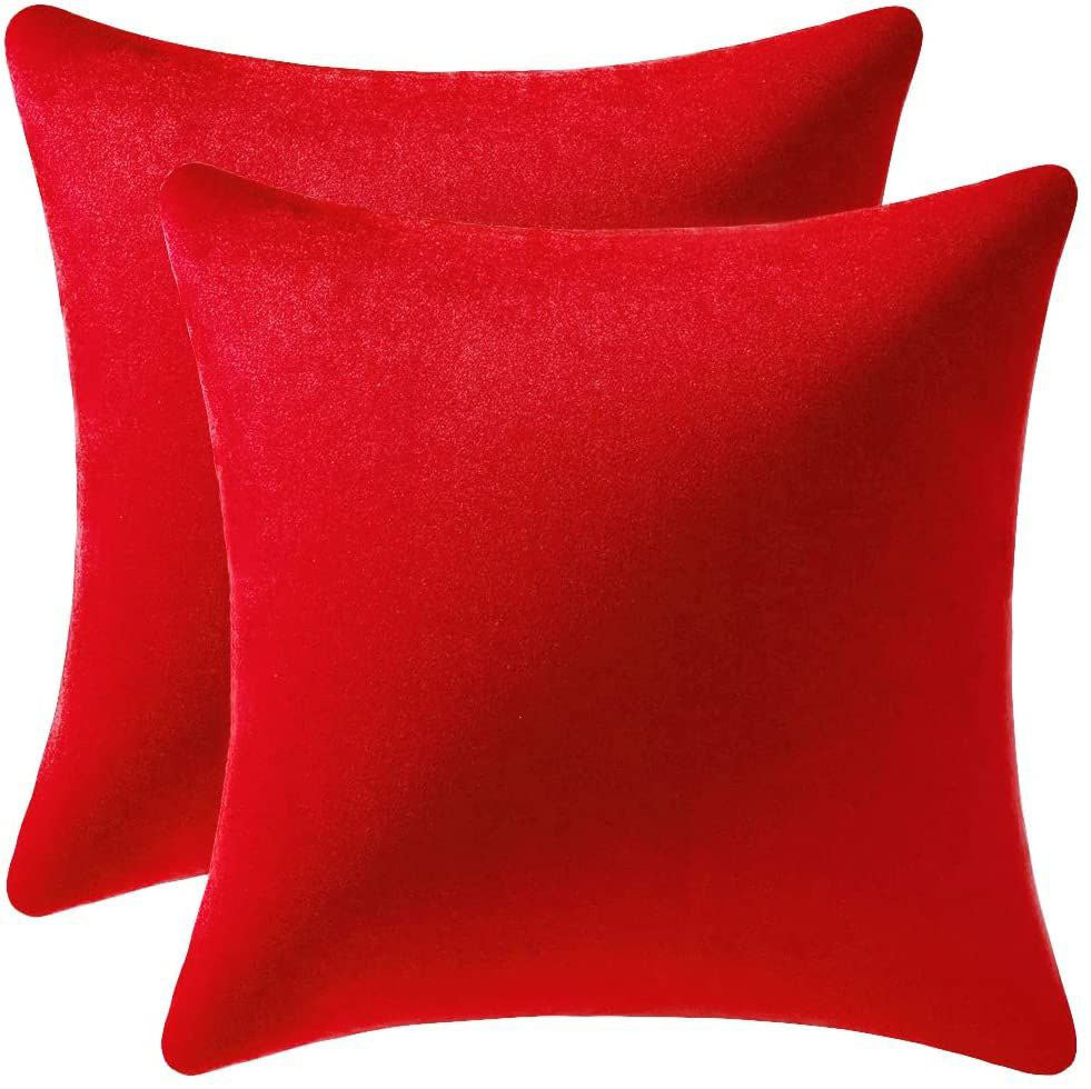 Just Home Velvet Pillow Set