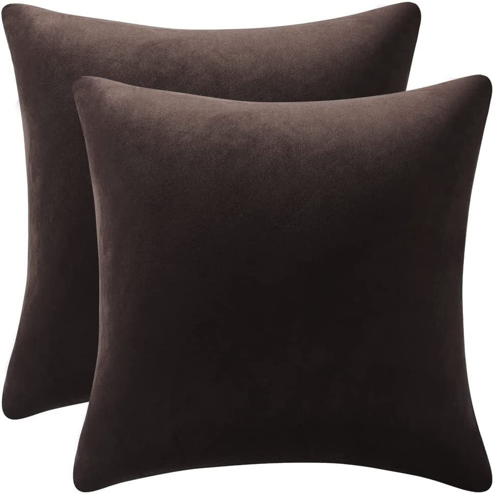 Just Home Velvet Pillow Set