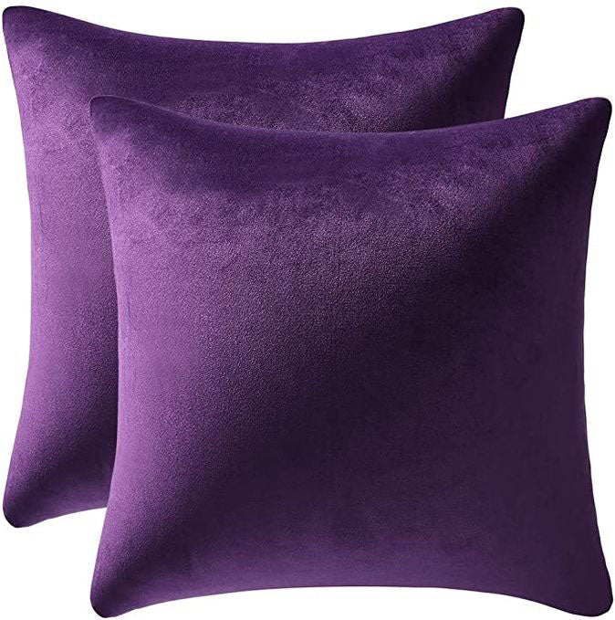 Just Home Velvet Pillow Set